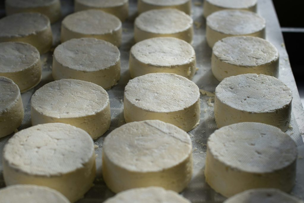 white round food on gray tray